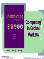 Understanding business 8th by mcchugh nickels chapter 03 