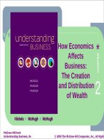 Understanding business 8th by mcchugh nickels chapter 02 