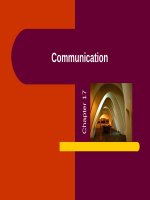 Management ch 17 communication 