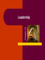 Management ch 15 leardership 
