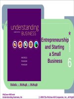 Understanding business 8th by mcchugh nickels chapter 06 