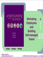 Understanding business 8th by mcchugh nickels chapter 10 