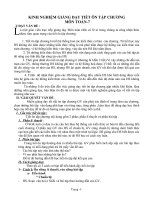 sáng kiến ( kinh nghiệm giảng dậy ôn tập chương môn toán lớp 7