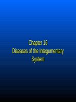 Human resource management  disease ch 16 