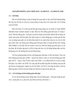 bao cao gggggggggggggggggg