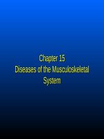 Human resource management  disease ch 15 