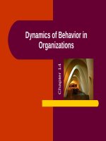 Management ch 14 dynamics of behavior in organizations 