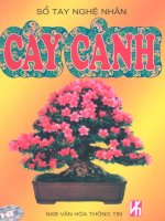 so tay nghe nhan cay canh