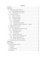 Phương pháp điều chế và tác dụng của nano vàng trong môi trường chitosan   