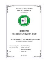 NGHIÊN cứu điều CHẾ NANO sắt hóa TRỊ 0 BẰNG PHƯƠNG PHÁP hóa học 