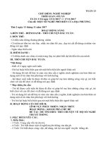 GIÁO ÁN TUẦN13 CHỦ ĐIỂM NGHỀ NGHIỆP, MỘT SỐ NGHỀ PHỔ BIẾN Ở ĐỊA PHƯƠNG