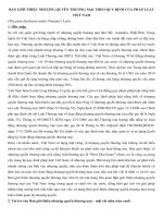 ban gioi thieu nhuong quyen thuong mai 