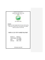 Nghiên cứu một số biện pháp kỹ thuật nhân giống cho loài Lan kim tuyến (Anoectochilus setaceus Blume) trong giai đoạn vườn ươm. (Khóa luận tốt nghiệp)