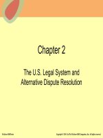 An introduction to the fundamentals of dynamic business law and business ethics chap002 