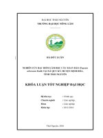 Nghiên cứu đặc điểm lâm học cây Xoan đào (Pygeum arboreum Endl) tại xã Quy kỳ  huyện Định Hóa  tỉnh Thái Nguyên. (Khóa luận tốt nghiệp)