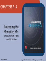 Understanding business 11th by mchugh nickels  chapter a14 