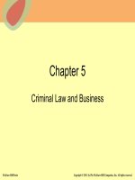An introduction to the fundamentals of dynamic business law and business ethics chap005 