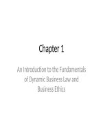 An introduction to the fundamentals of dynamic business law and business ethics chap001 