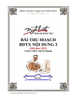 Bài thu hoạch  bdtx tiểu học modun7
