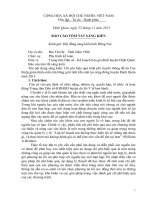 MẪU báo cáo tóm tắt SÁNG KIẾN