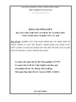 Nghiên cứu ứng dụng đồng bộ các biện pháp trước và sau thu hoạch nhằm nâng cao năng suất, chất lượng và kéo dài thời gian tồn trữ tỏi đặc sản tại địa bàn đảo lý sơn tỉnh quảng ngãi 