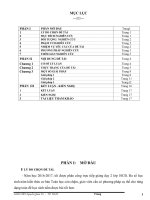 SKKN Kỹ năng giải phương trình chứa ẩn dưới dấu căn Chương 3, Đại số 10CB