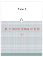 Bai 26 thuc hanh nhan biet mot vai dang dot bien (1)