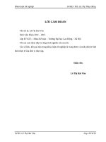 Hoàn thiện kế toán tiêu thụ và xác định kết quả tiêu thụ hàng hóa tại Công ty Xăng Dầu Cao Bằng