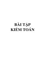 BÀI TẬP KIỂM TOÁN EBOOK