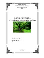 Bài Tập Lớn: An toàn lao động và môi trường