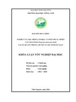 Nghiên cứu đặc điểm lâm học và phân bố tự nhiên cây Xoan đào (Pygeum arboreum Endl) tại xã Quang Phong  huyện Na Rì  tỉnh Bắc Kạn. (Khóa luận tốt nghiệp)