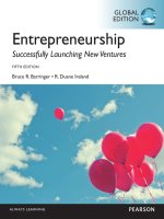 Entrepreneurship successfully launching new venture 5th global edtion by barringer ireland 1