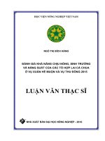 ĐÁNH GIÁ KHẢ NĂNG CHỊU NÓNG, SINH TRƯỞNG  CÀ CHUA