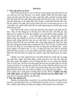 Nghiên cứu đặc tính nhiệt phân của gỗ keo và quá trình khí hóa tạo khí nhiên liệu tt