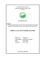 Đánh giá hiện trạng chất lượng môi trường nước trên địa bàn xã Liễn Sơn  huyện Lập Thạch  tỉnh Vĩnh Phúc. (Khóa luận tốt nghiệp)