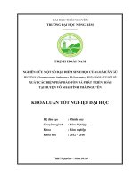 Nghiên cứu một số đặc điểm sinh học của loài cây Gù hương (Cinnamomum balansae H. Lecomte, 1913) làm cơ sở đề xuất các biện pháp bảo tồn và phát triển loài tại huyện Võ Nhai  tỉnh Thái Nguyên (Khóa luận tốt nghiệp)