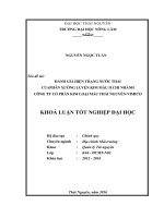 Đánh giá hiện trạng nước thải Phân xưởng Luyện kim màu II  Công ty cổ phần Kim loại màu Thái Nguyên  Vimico. (Khóa luận tốt nghiệp)