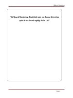 Kế hoạch marketing đồ nội thất mây tre đan ra thị trường quốc tế của doanh nghiệp xuân lai