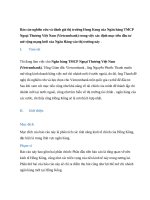 Báo cáo nghiên cứu và đánh giá thị trường hong kong của ngân hàng TMCP ngoại thương việt nam (vietcombank) trong việc xác định mục tiêu đầu tư mở rộng mạng lưới