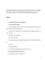 Kế hoạch tiếp thị cho cửa hàng trực tuyến bán đồ lưu  niệm và sản phẩm thủ công của công ty CP sản xuất KD đồ lưu niệm chất lượng cao VN 