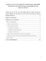 Đánh giá về  vai trò của CFO (giám đốc tài chính) trong các doanh nghiệp  sự cần thiết của chức danh này trong các doanh nghiệp việt nam en 