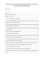 Phân tích vài trò của tài chính doanh nghiệp  đánh giá vai trò của CFO trong DN ở giai đoạn kinh tế hiện nay 