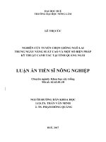 Nghiên cứu tuyển chọn giống ngô lai trung ngày năng suất cao và một số biện pháp kỹ thuật canh tác tại tỉnh quảng ngãi  tt
