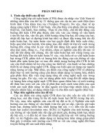 Nghiên cứu khí động, trao đổi nhiệt và vòng đời của công nghệ lớp sôi tuần hoàn (tt)