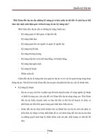 Một giám đốc dự án cần những kỹ năng gì và hãy miêu tả chi tiết về cách họ có thể làm việc một cách hiệu quả 