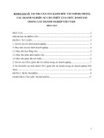 Đánh giá về  vai trò của CFO (giám đốc tài chính) trong các doanh nghiệp  sự cần thiết của chức danh này trong các doanh nghiệp việt nam