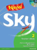 New sky 2 teachers book