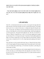 PHÂN TÍCH các NGUỒN vốn mà DOANH NGHIỆP có THỂ HUY ĐỘNG tại VIỆT NAM 