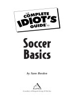 The complete idiots guide to soccer basics