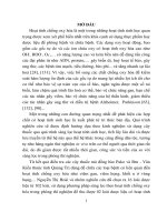 Nghiên cứu thành phần hóa học và hoạt tính chống oxy hóa của một số loài dược liệu của đồng bào pako và bru   vân kiều, tỉnh quảng trị tt